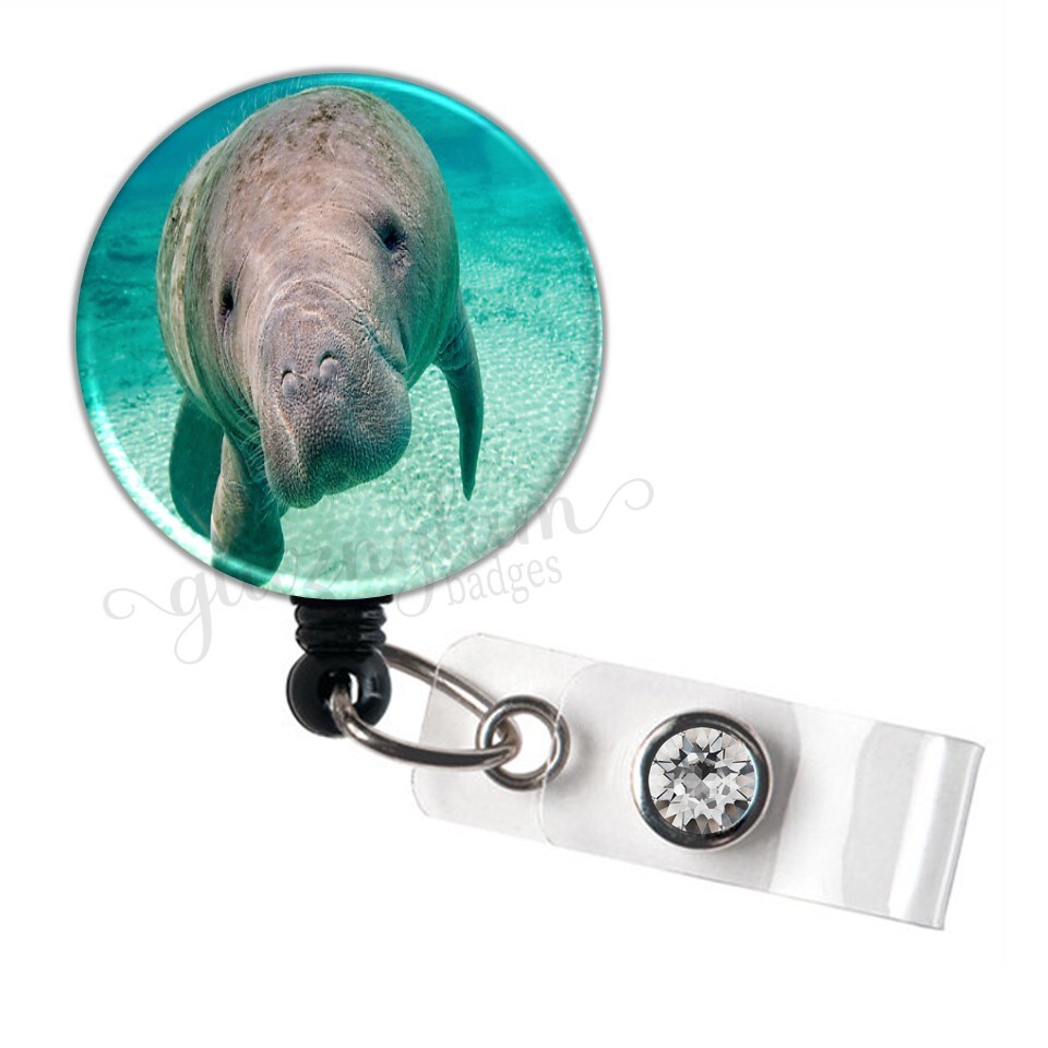 Sea Lion Badge Reel, Retractable Id Holder, Nurse Teacher Lanyard