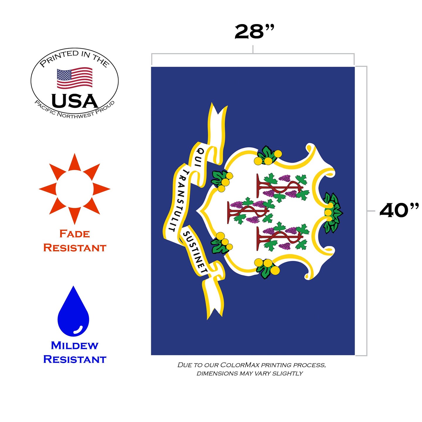 Connecticut State Flag Decorative  Flag