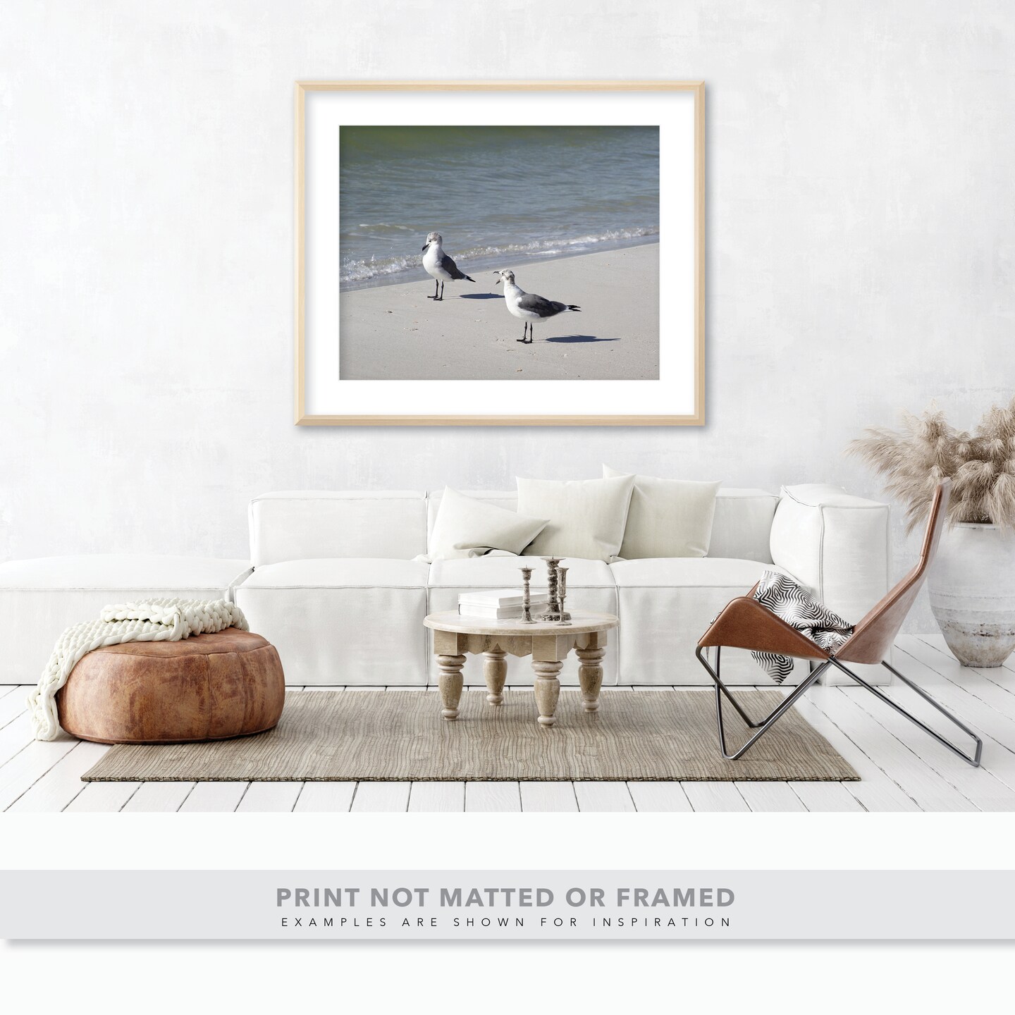 Funny Seagull Photo - Seagull Yelling at Another Gull by the Ocean