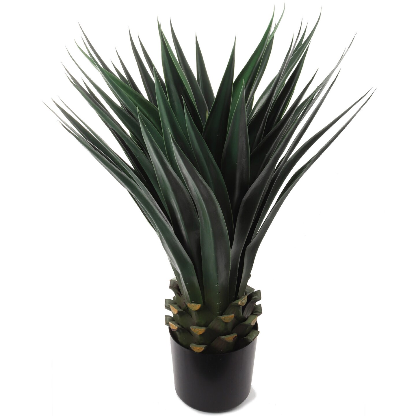 2-Pack: 36&#x22; Agave Succulent Plant in Black Pot by Floral Home&#xAE;