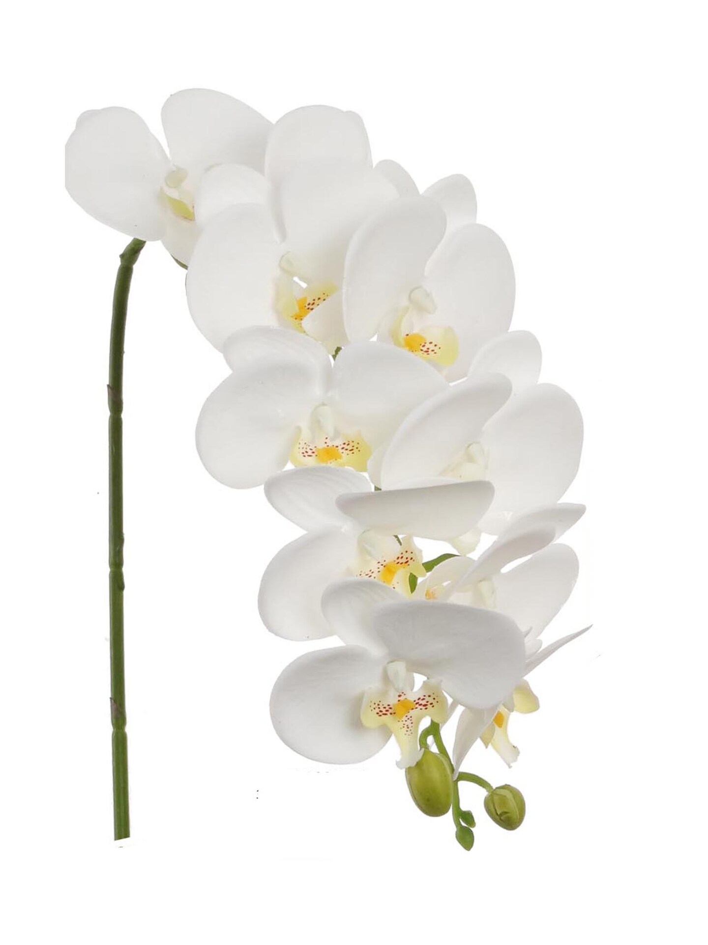 Set of 2 Pure White Phalaenopsis Orchid Stems | 31-Inch Lifelike Artificial Flowers with 10 Silk Blooms for Home Decor, Centerpieces, and Floral Arrangements | Floral Home by Artificial Flowers
