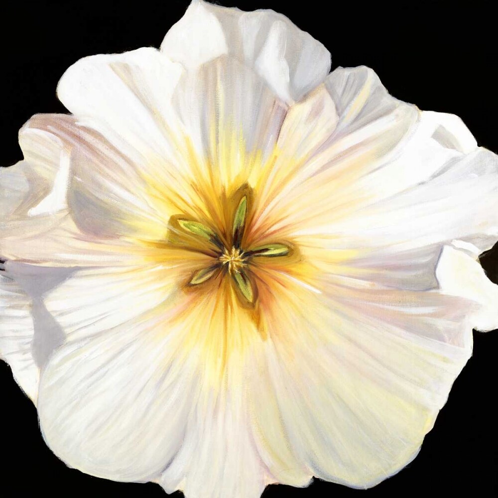 White Bloom I Poster Print by Sandra Lafrate - Item # VARPDXSD005A