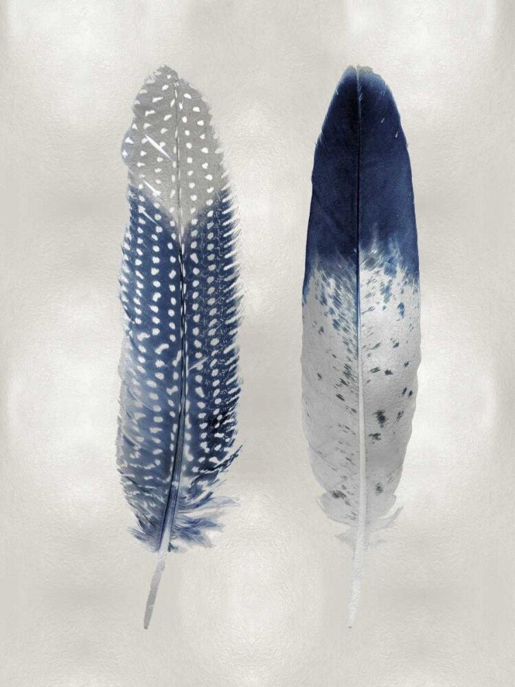 Blue Feather Pair on Silver Poster Print by Julia Bosco # JBC114216