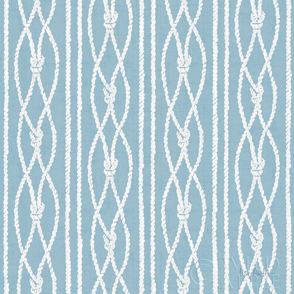 Nautical Life Step 08C Poster Print by Lisa Audit - Item # VARPDX46545