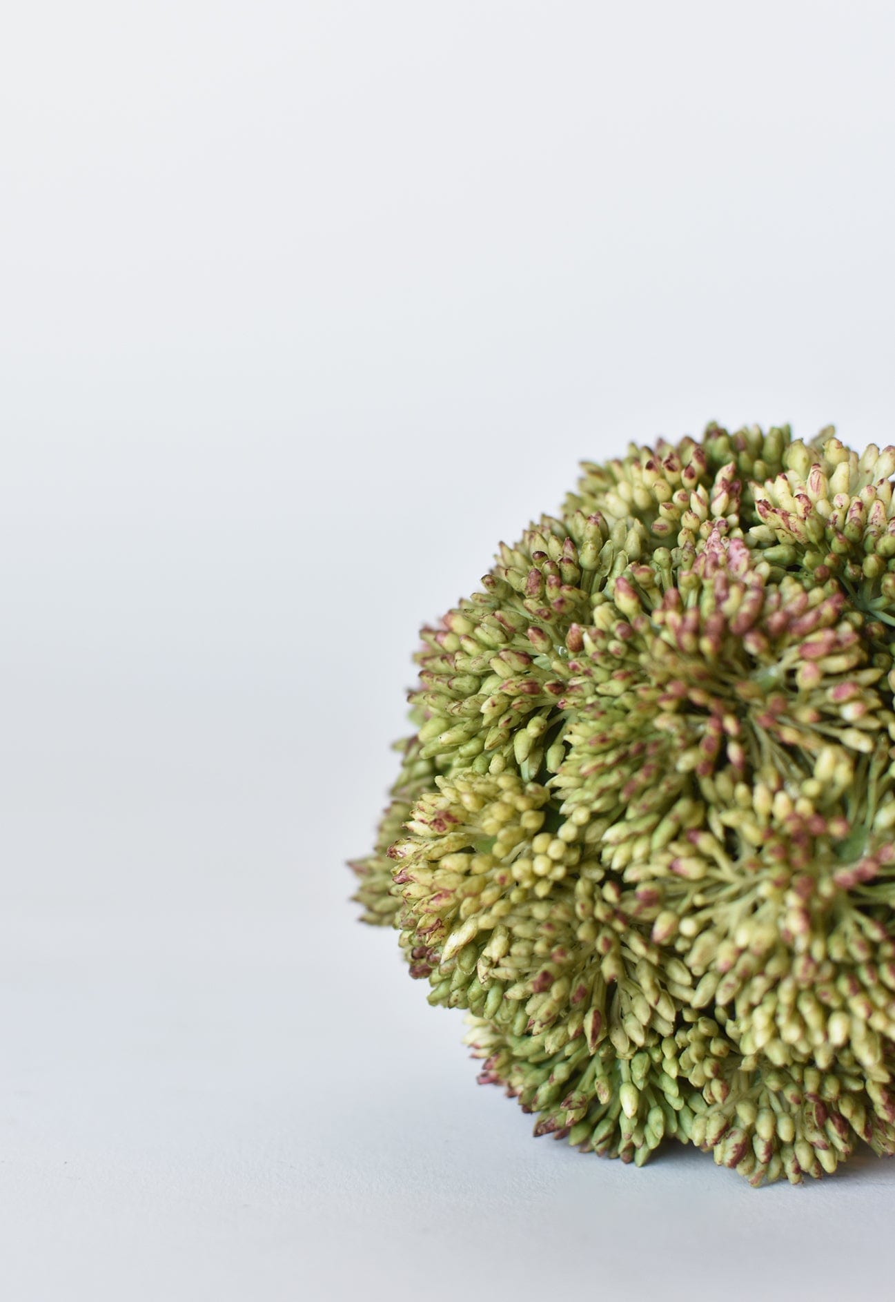 4&#x22; Faux Green Sedum Ball