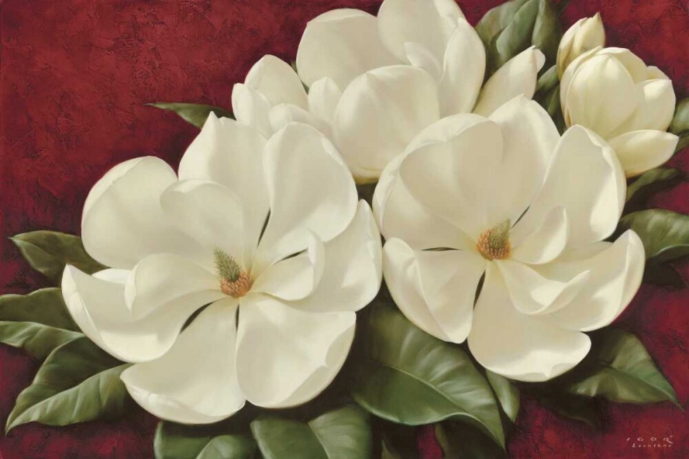 Magnolia II Poster Print by Igor Levashov - Item # VARPDX10698
