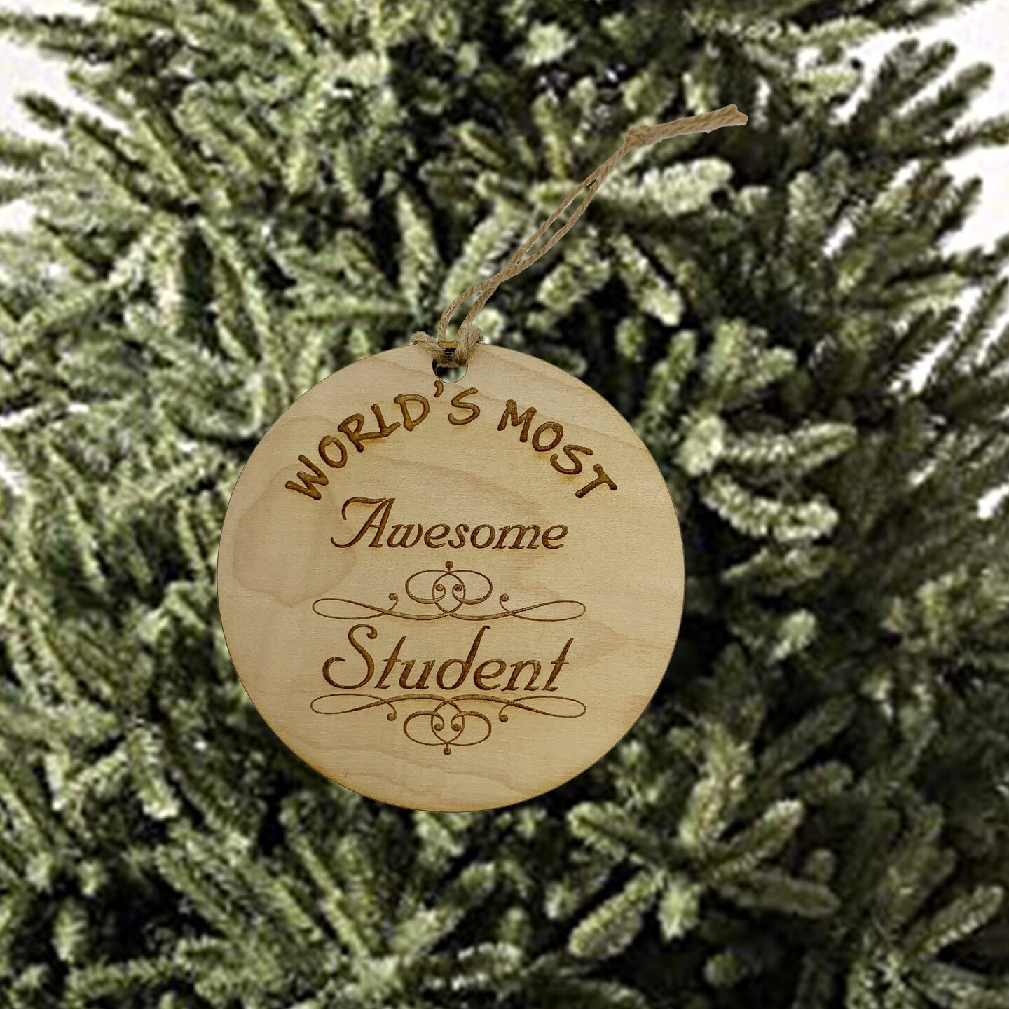 Worlds most Awesome Student - Ornament