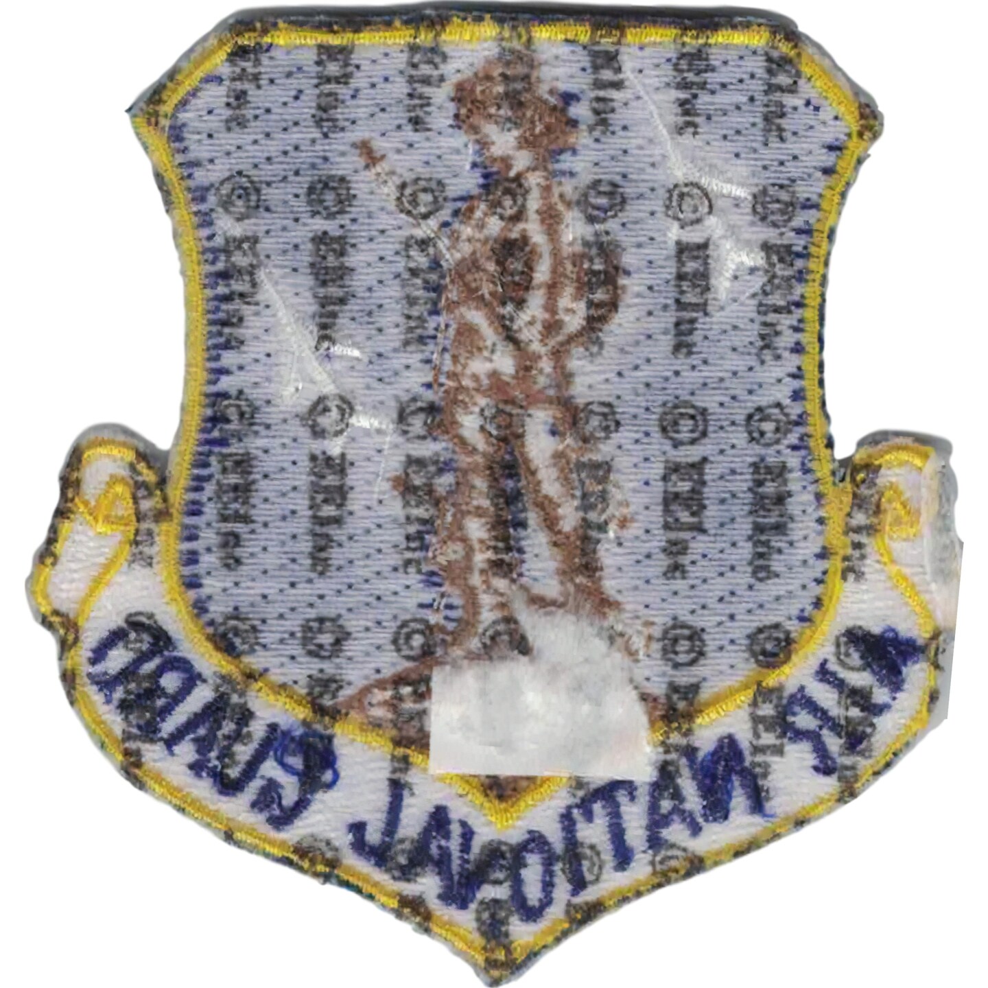 U.S. Air Force Air National Guard Shield Patch