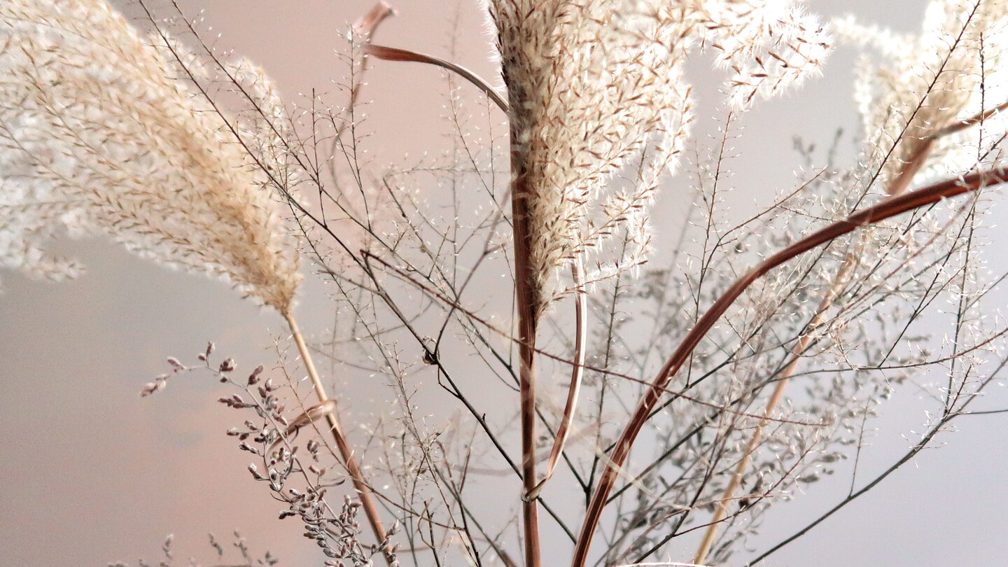 storefront banner