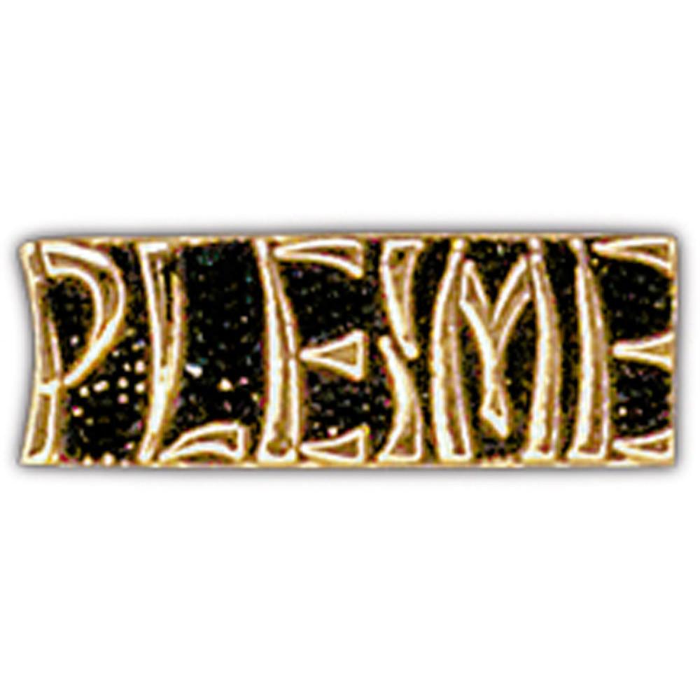 Pleime Pin 1&#x22;