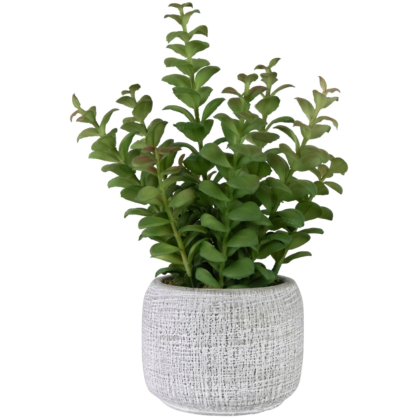 Northlight Real Touch&#x2122; Artificial  Privet Plant in Gray Stone Pot - 12&#x22;