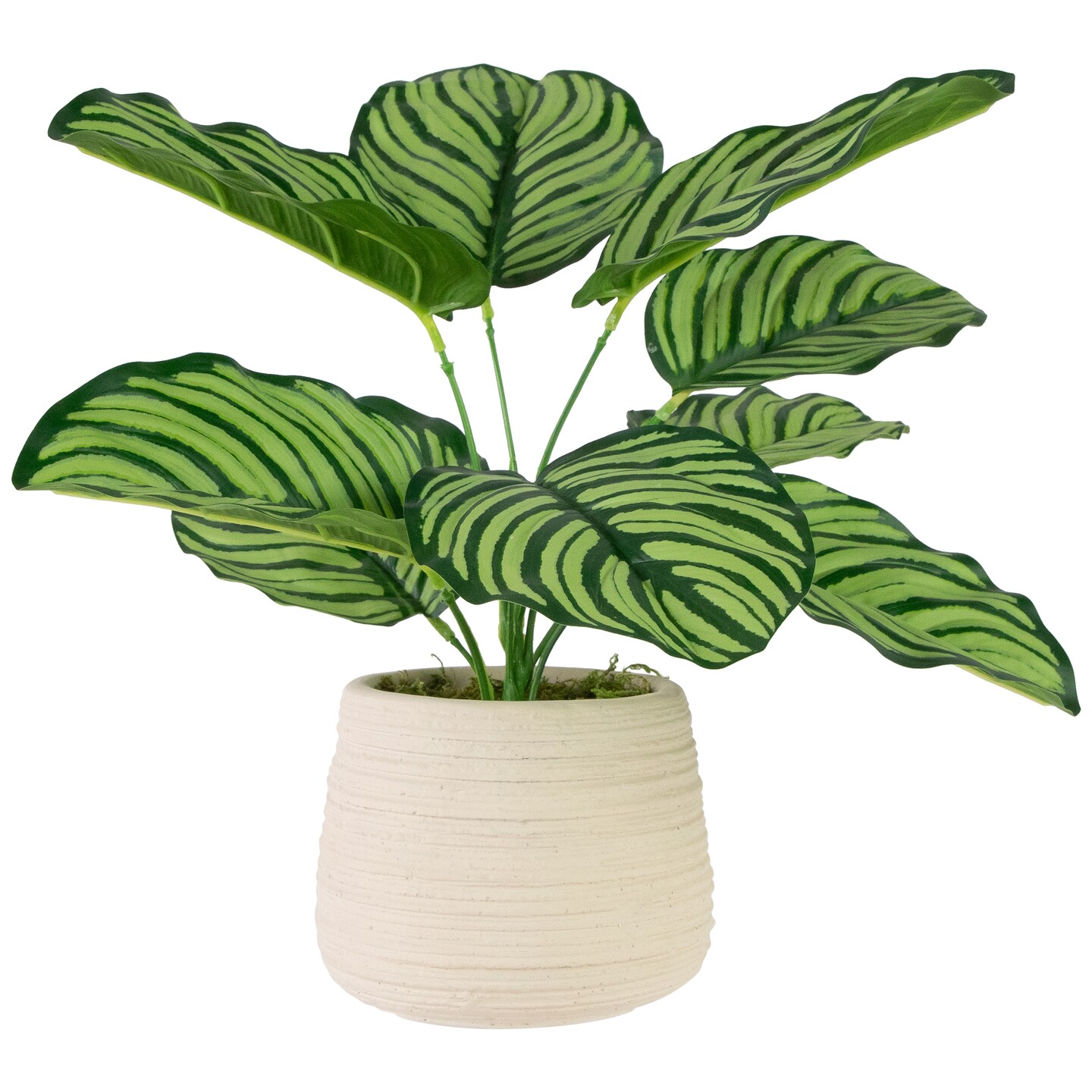 Northlight 13&#x22; Artificial Prayer Plant in Beige Ceramic Pot