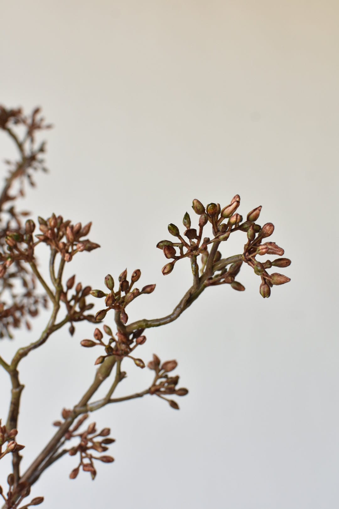 38&#x22; Faux Brown Sedum Berry Branch
