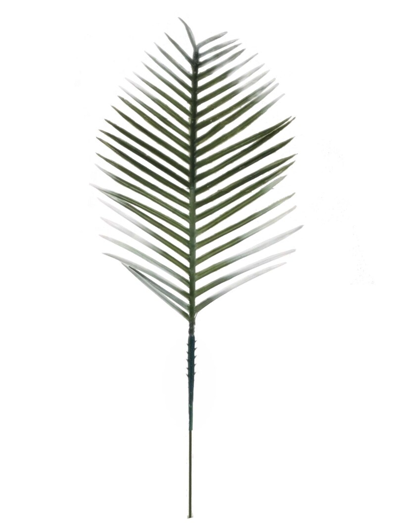 6" Cycus White Tips - 5 Pieces, Perfect for Floral Arrangements, Home Decor, Weddings, and Craft Projects - Lifelike Artificial Foliage - Floral Home by Artificial Flowers