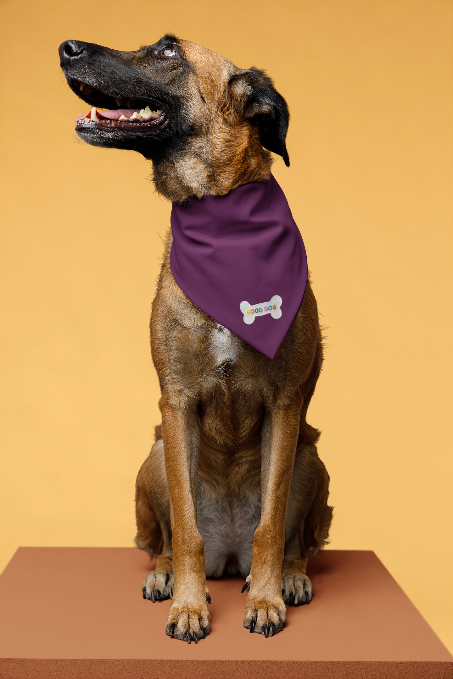 Good Dog Bone, Embroidered, Iron on Patch
