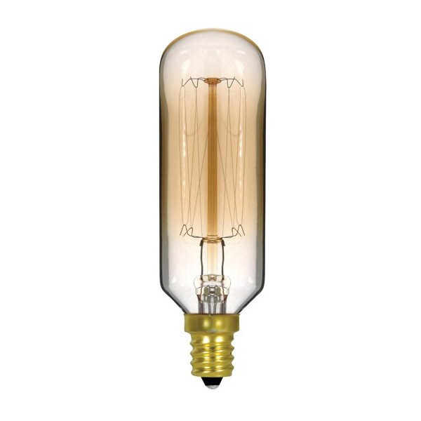 Satco S2420 40W 120V T9 E12 Candelabra Vintage Incandescent light bulb Michaels