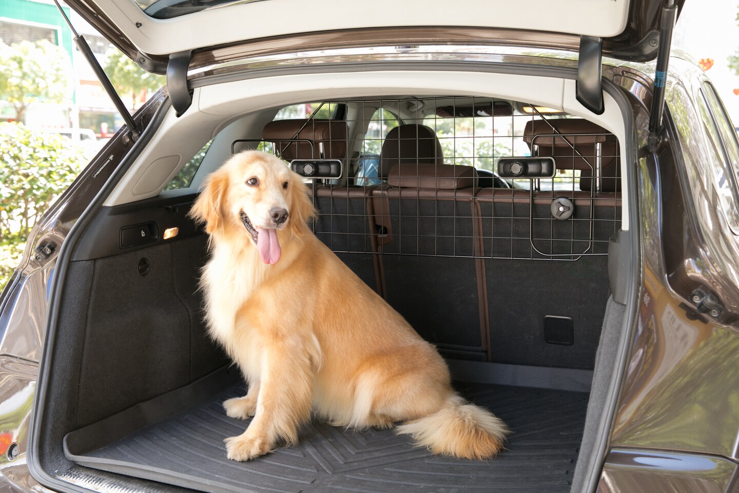 Adjustable Large Pet Barrier Gate For SUV&#x27;s, Cars Vans and Vehicles Safety Car Divider for Dogs Pets, Heavy Duty Universal Fit