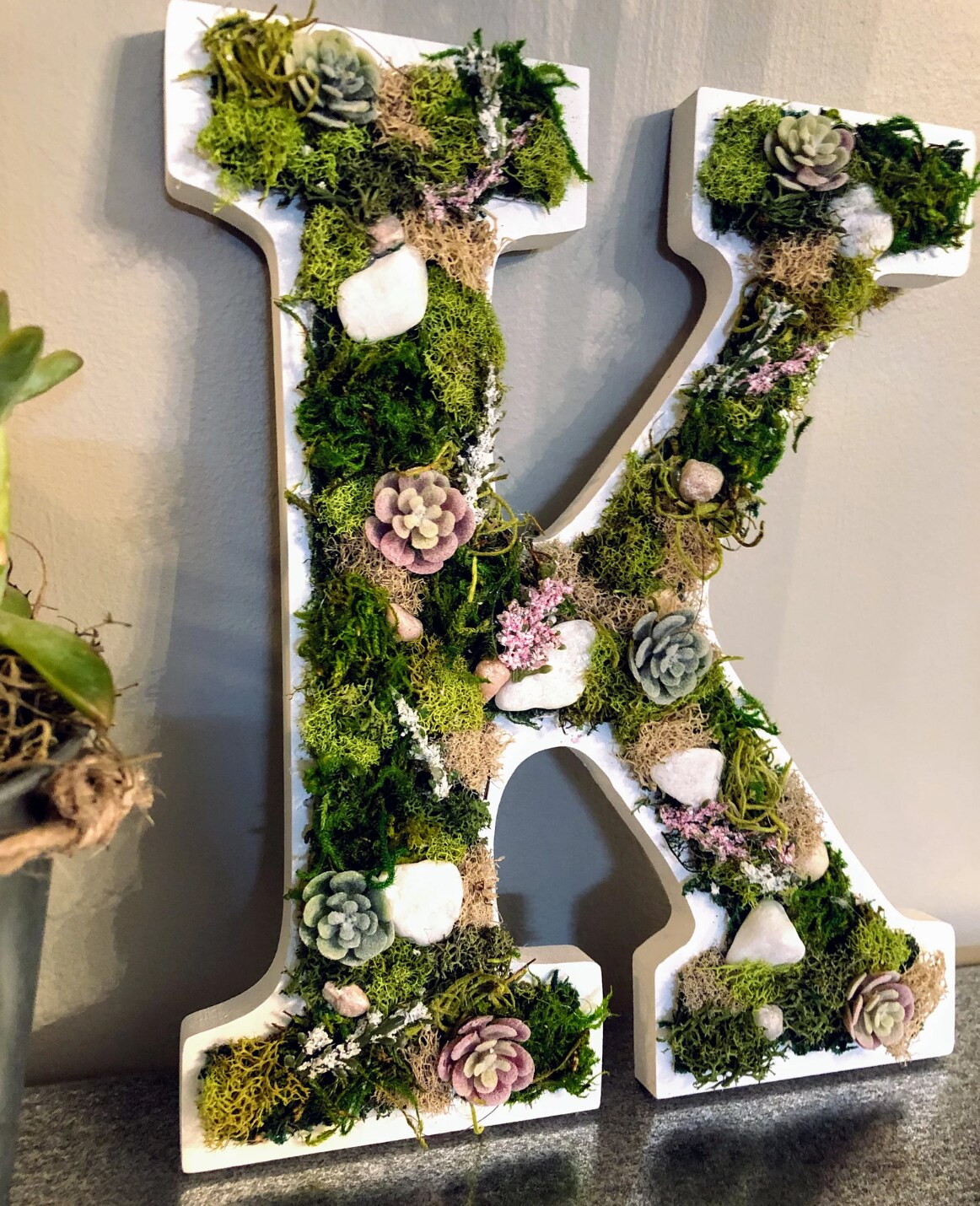 Preserved Moss Letter Wall Art, Plant Home Décor, Succulent Letters, Moss Wall Art, Gift for Her - image8