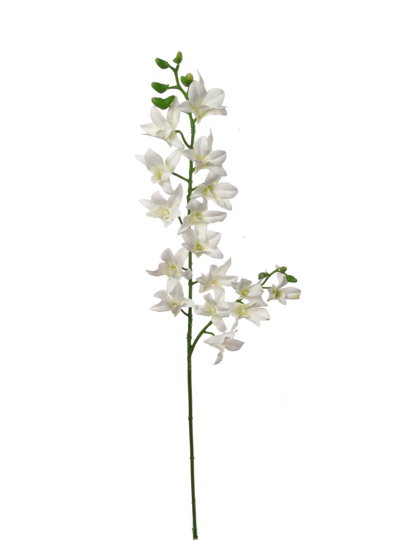 2-Pack: Cream Dendrobium Spray, 34-Inch, Silk Flowers & Green Buds, Indoor Use, Floral Sprays, Floral Home by Artificial Flowers