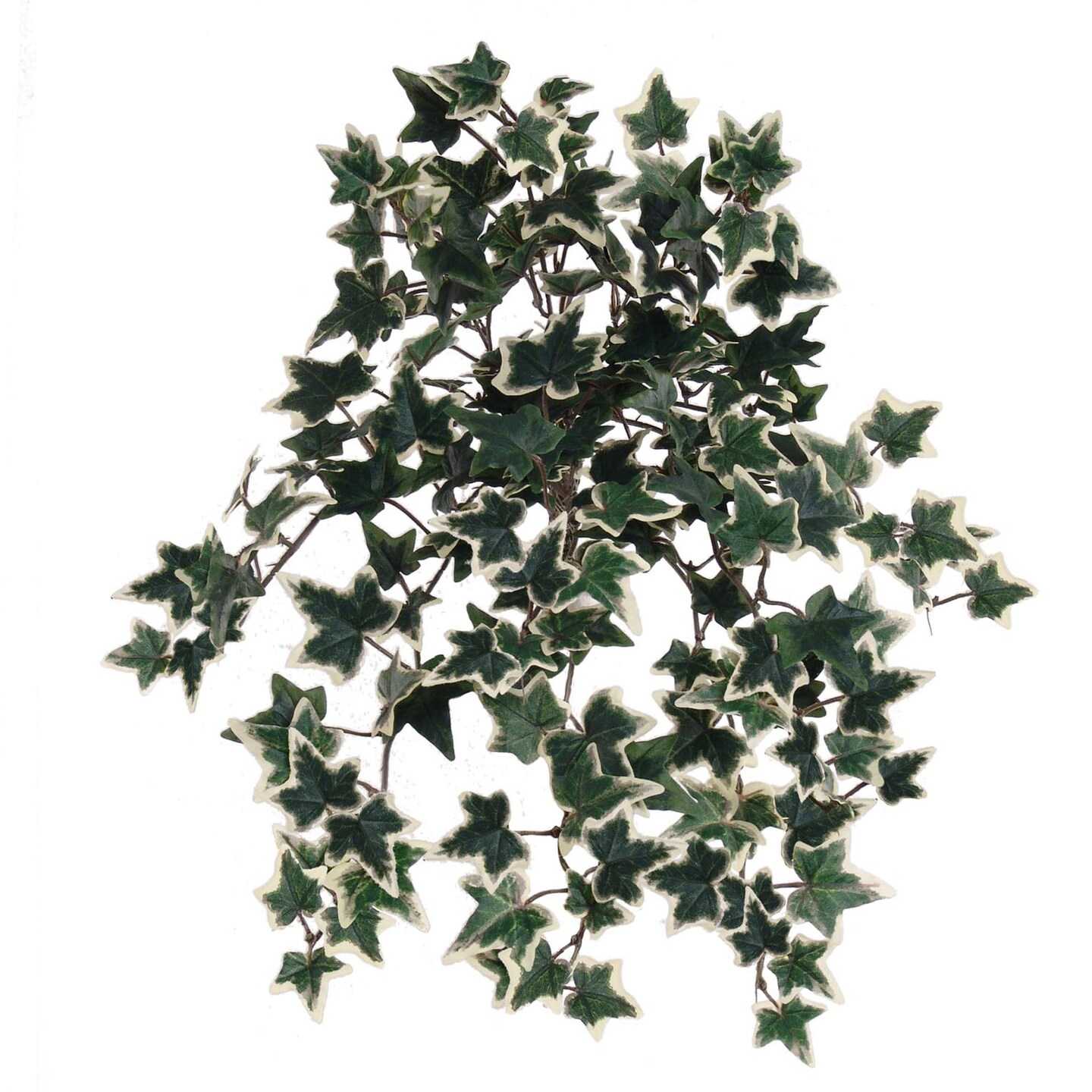 Mini Green &#x26; White English Ivy Bush with Silk Foliage by Floral Home&#xAE;