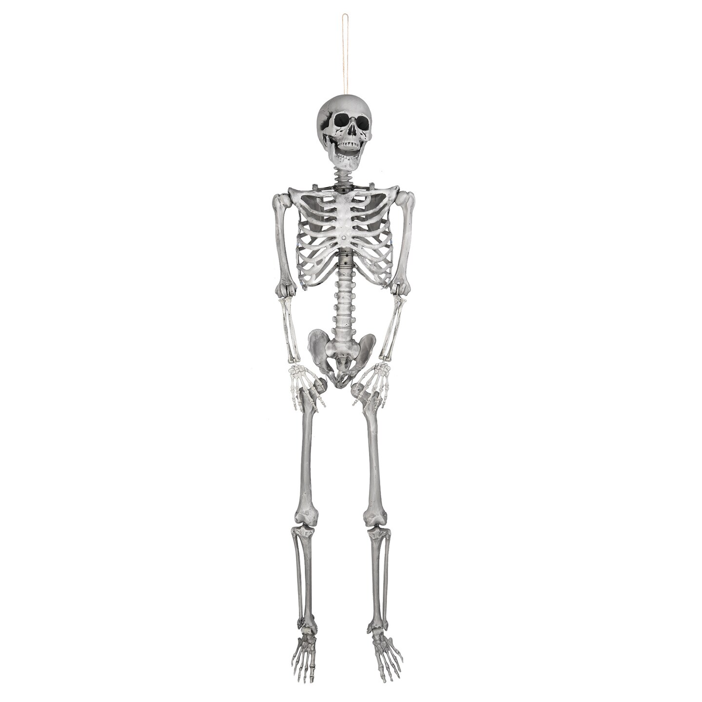 Halloween Full Body Skeleton