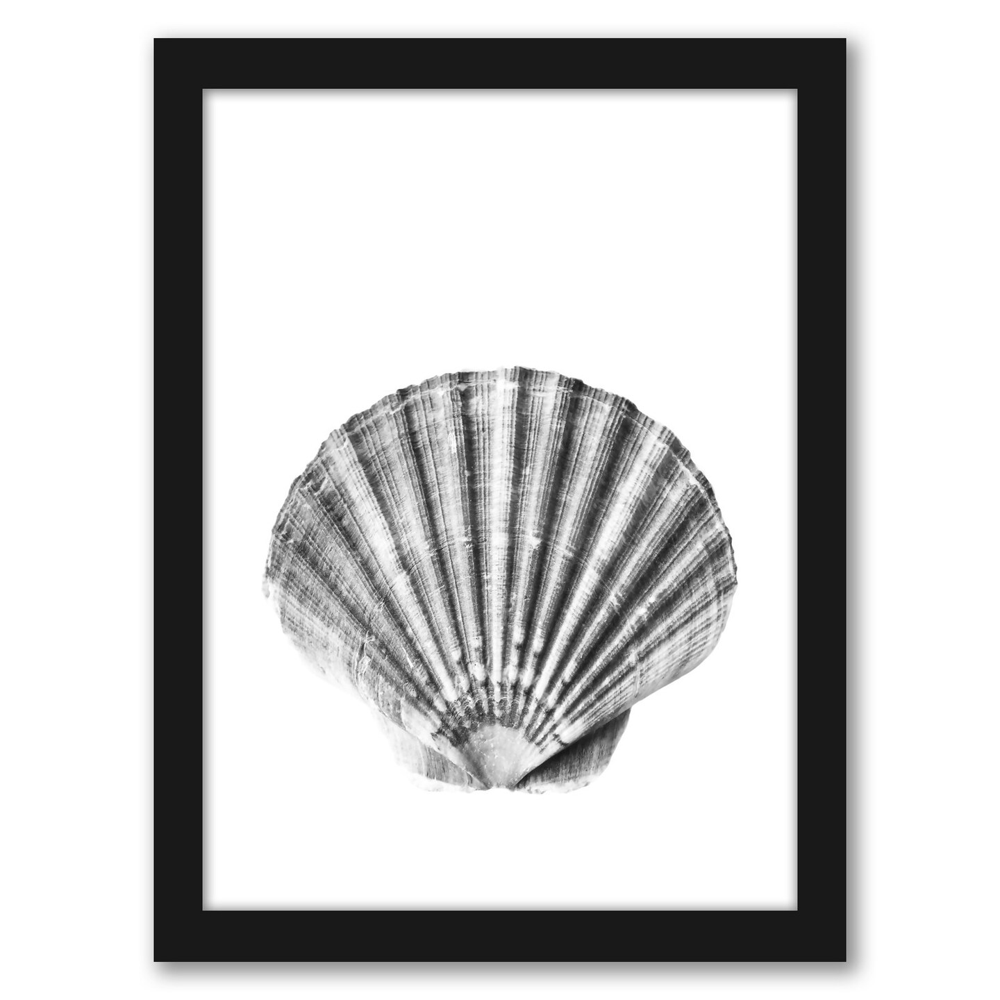 Sea Shell by Sisi And Seb Frame  - Americanflat