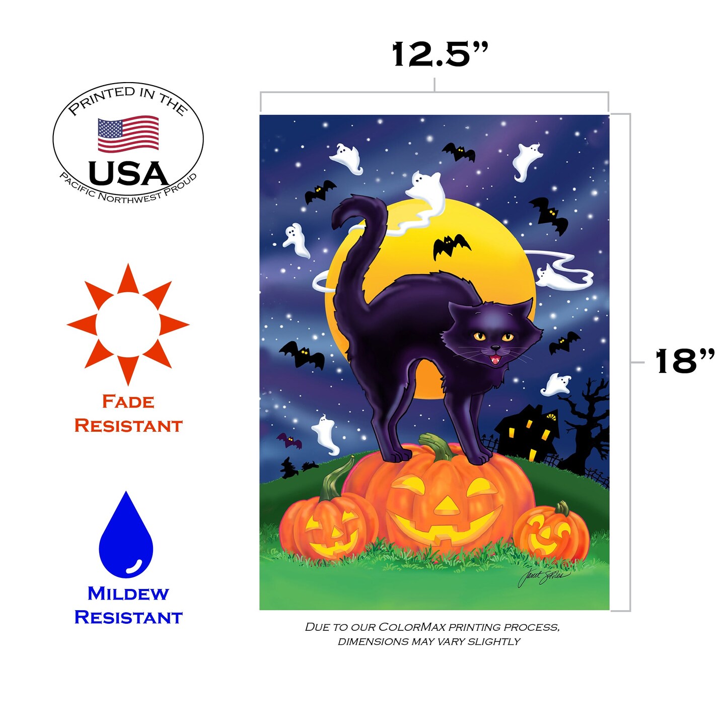 Black Cat Decorative Halloween Flag