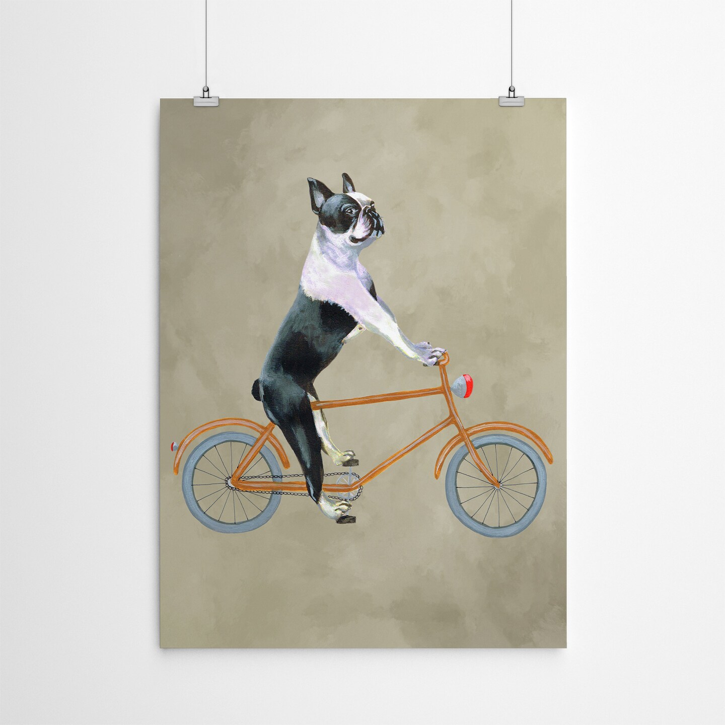 Boston Terrier On Bicycle by Coco De Paris  Poster Art Print - Americanflat