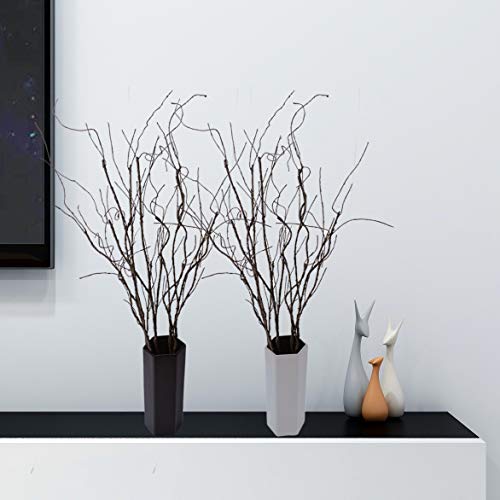 puluoE Halloween Decoration Curly Willow Branches Decorative Dried  Artificial Twigs, 17 Inches Fake Sticks Vintage Vines/Stems DIY Plants  Craft Vases