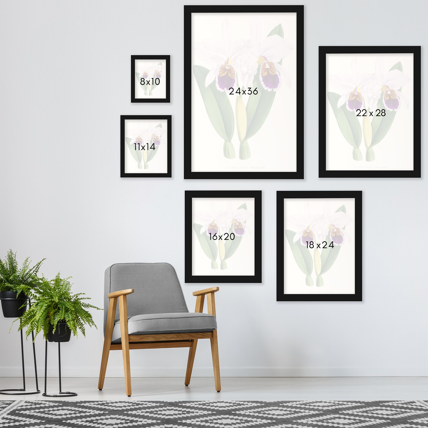 Fitch Orchid Cattleya Labiata Percivaliana by New York Botanical Garden Frame  - Americanflat