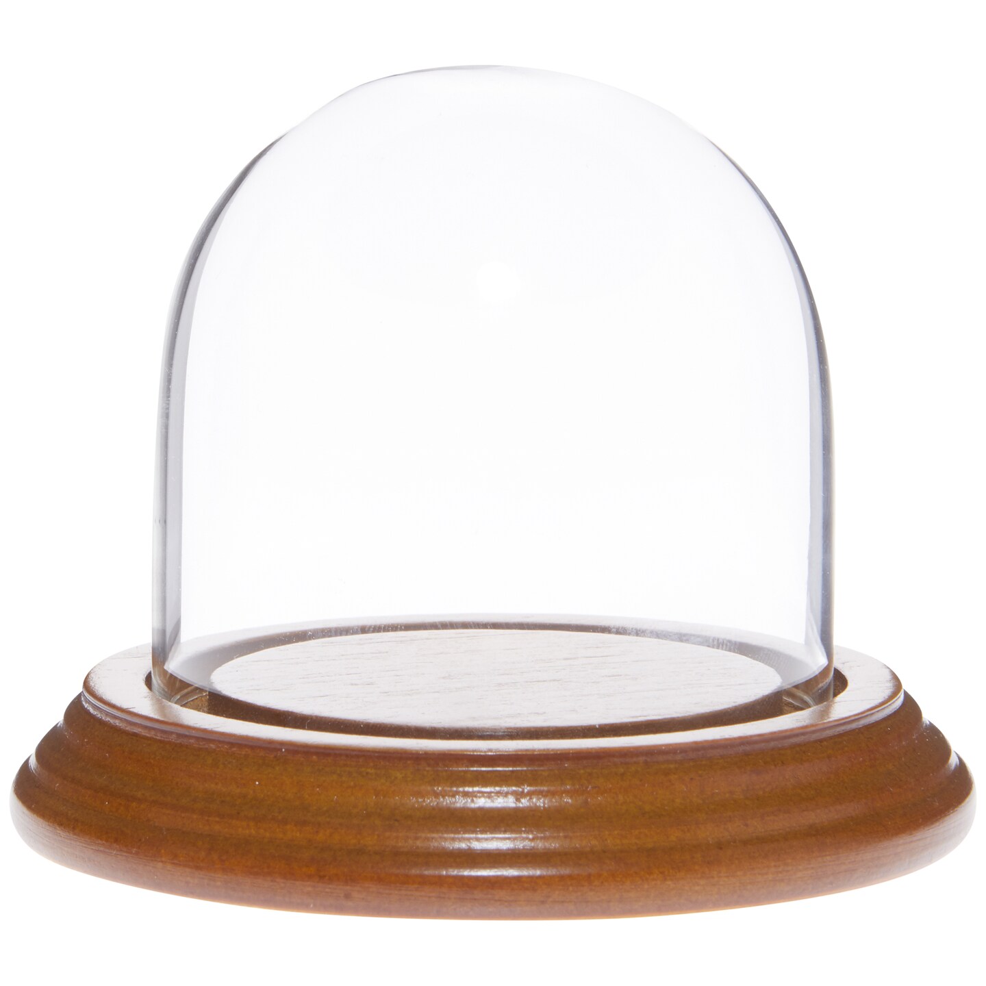 Plymor 3" x 3" Glass Display Dome Cloche Michaels