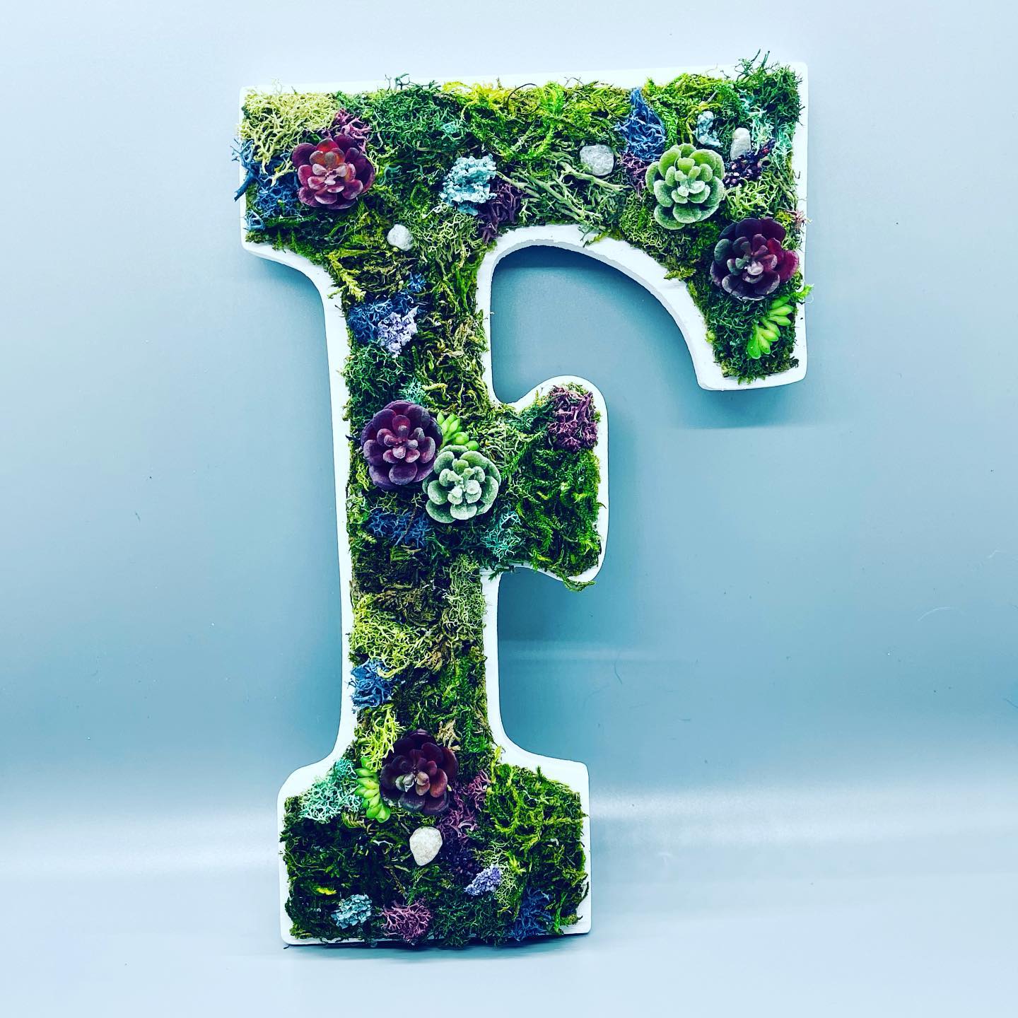 Preserved Moss Art Letters image 2