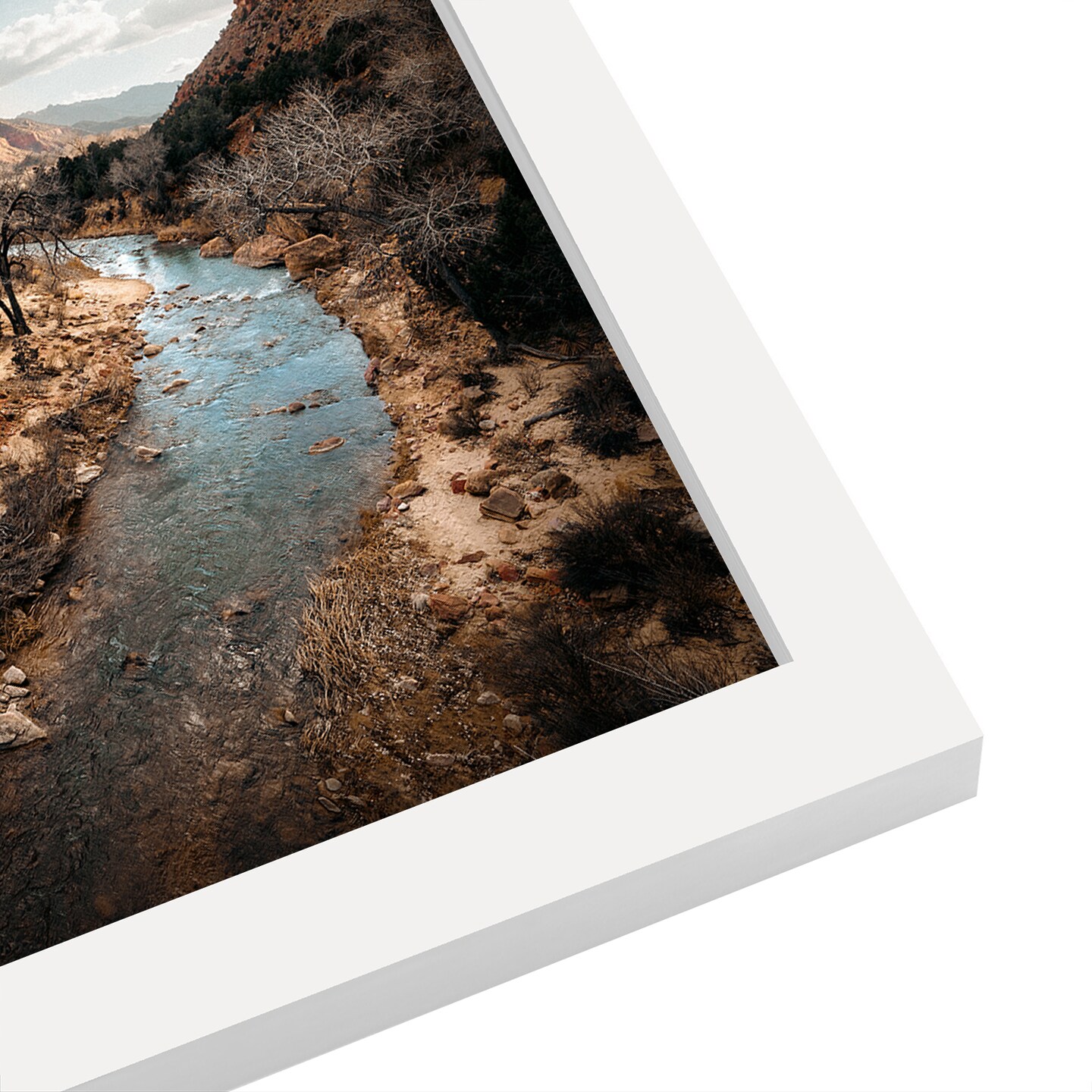 Classic Zion by Torrey Merritt Frame  - Americanflat