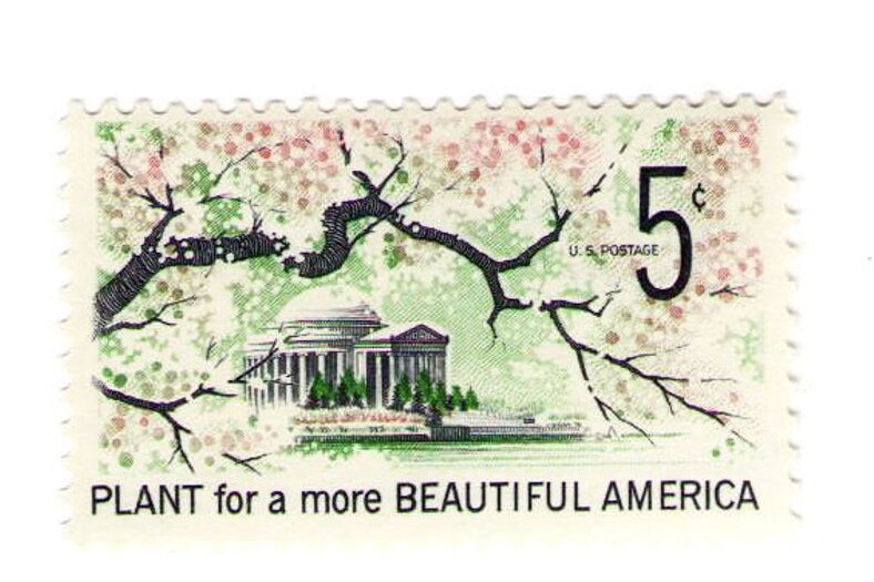 1966 United States Stamp - "Plant for a More Beautiful America" Cherry Blossom - Postage Stamp Earrings product 5