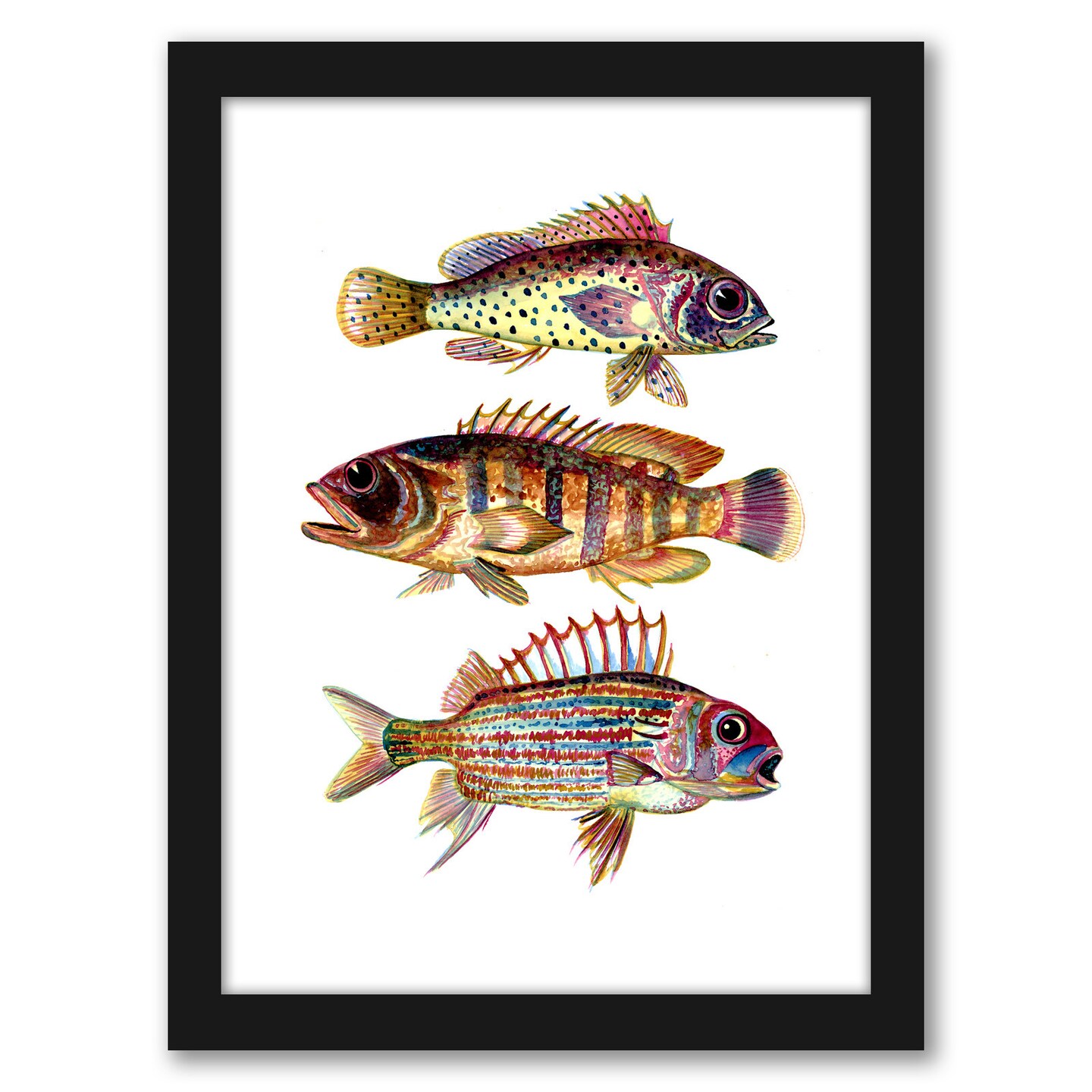 Three Fish Red by T.J. Heiser Frame  - Americanflat