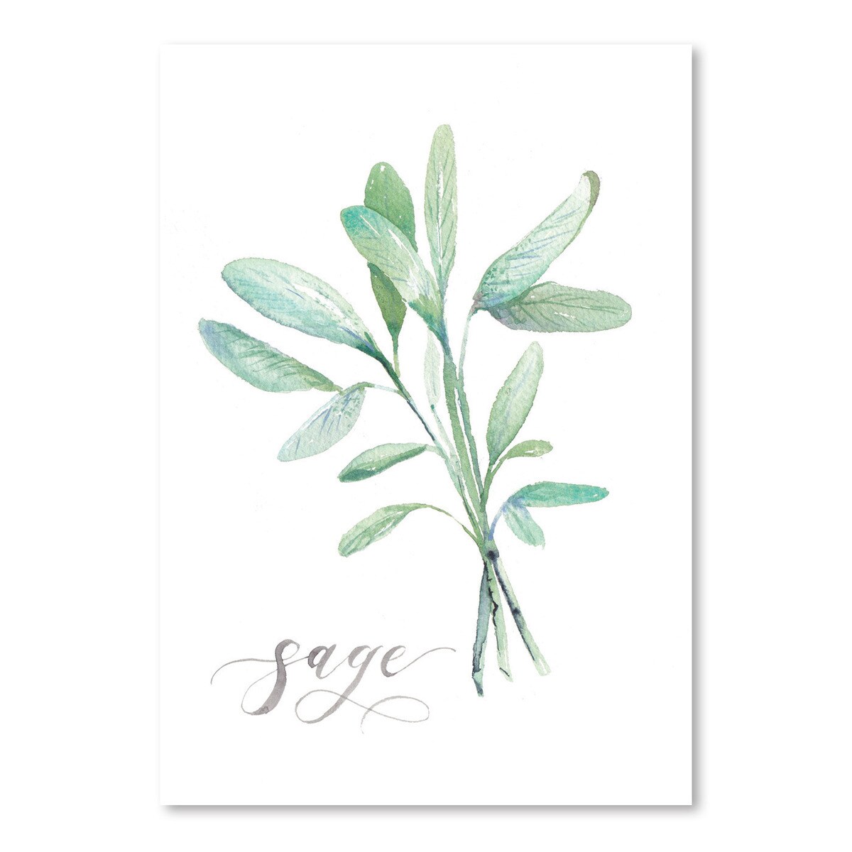 Sage by Cami Monet  Poster Art Print - Americanflat