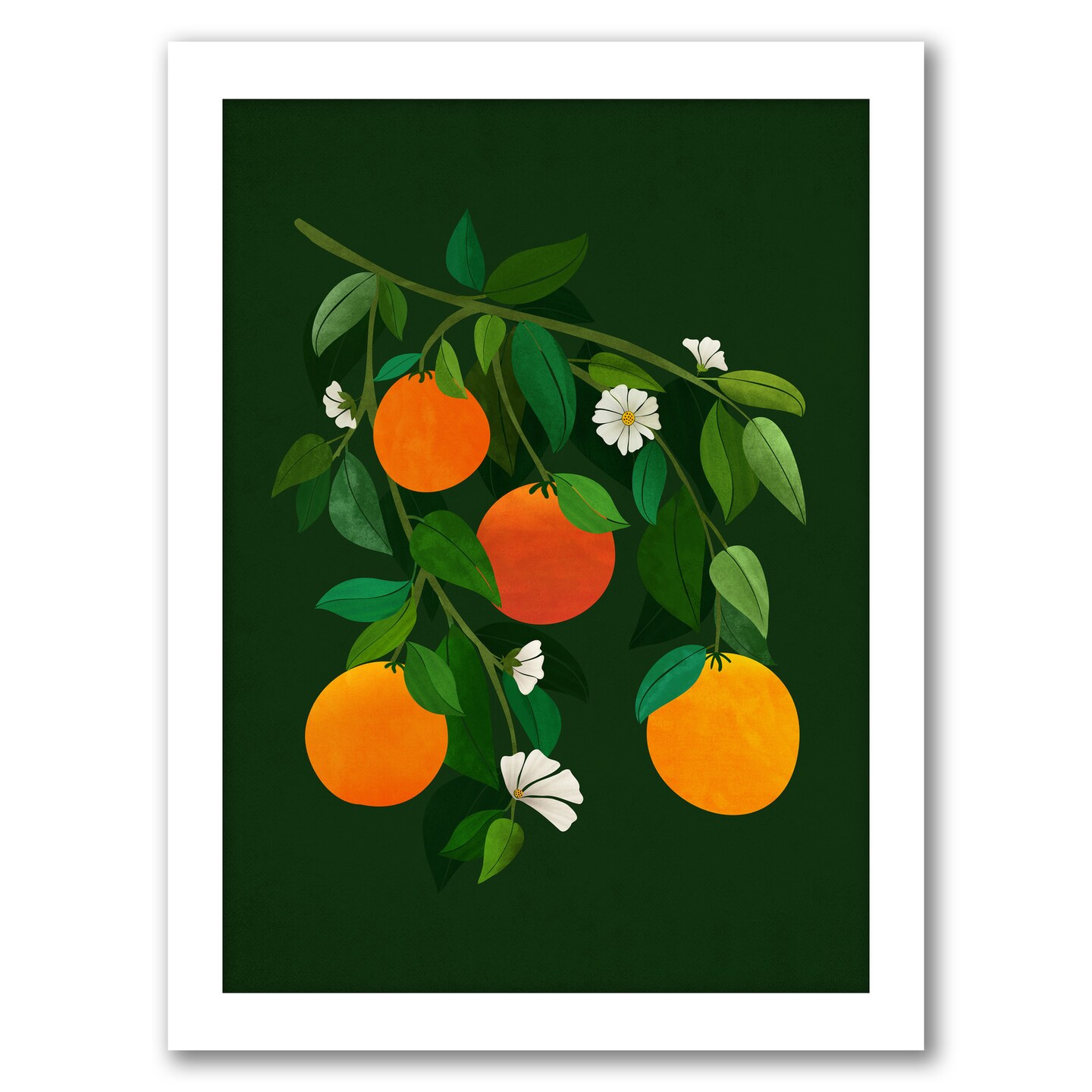 Oranges And Blossoms by Modern Tropical Frame  - Americanflat