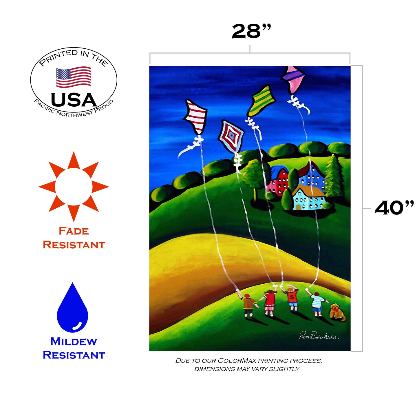 Kite Flyers Decorative Kites Flag
