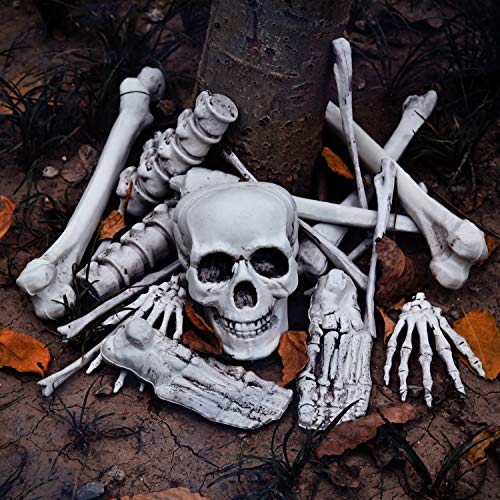 FUN LITTLE TOYS Halloween Bag of Skeleton Bones and Skull, 18 PCs ...