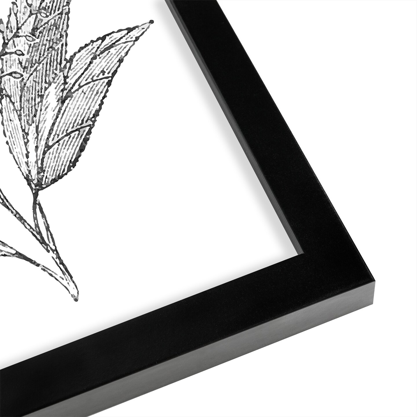 Leaf Study by Digital Keke Frame  - Americanflat