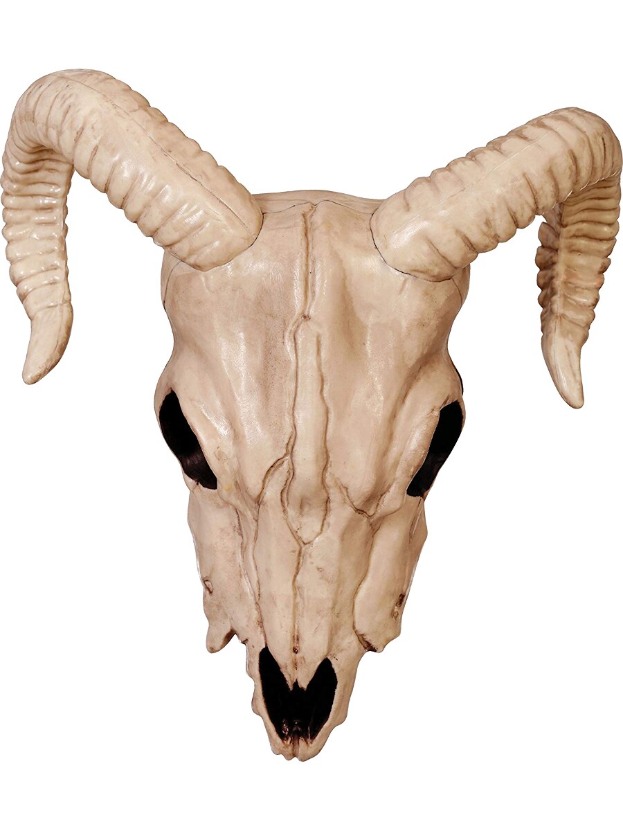 Ram Head Skeleton Skull Decoration