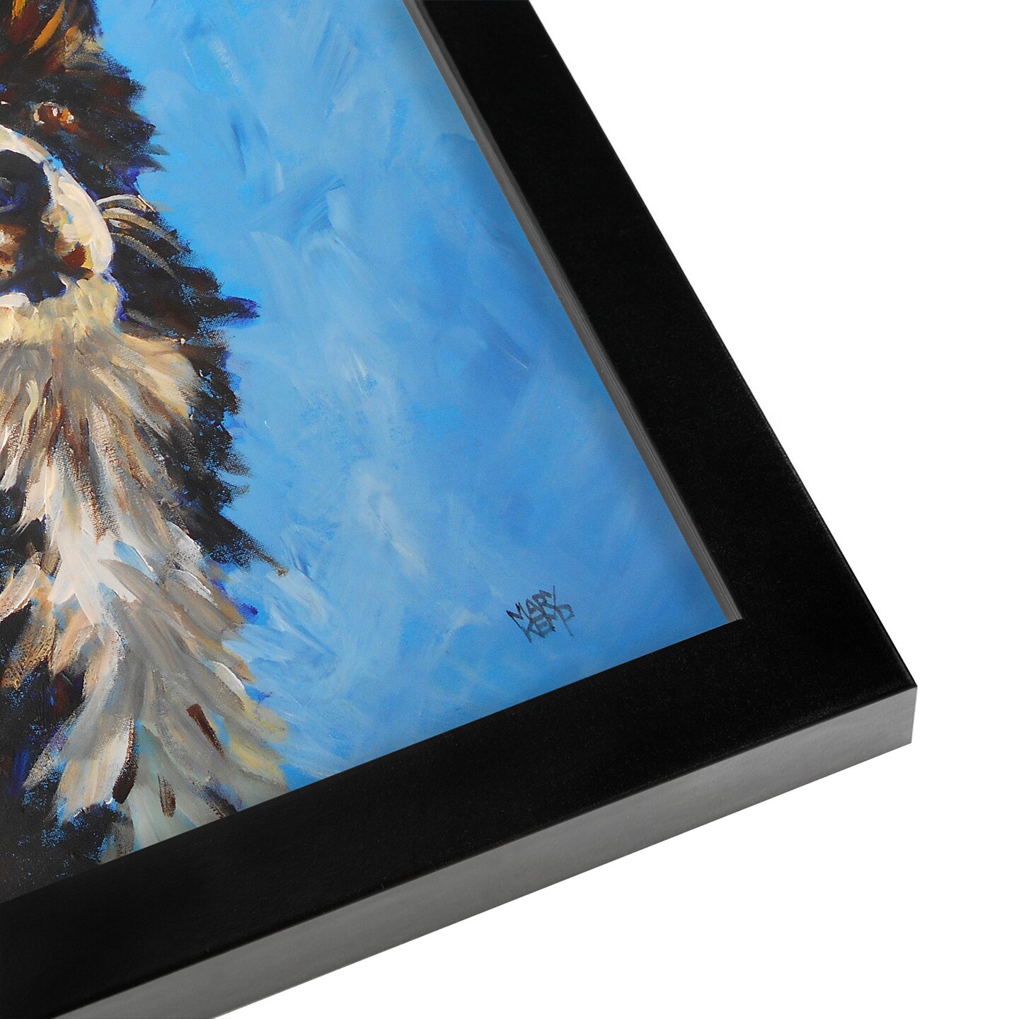 Magnificent Border Collie by Mary Kemp Frame  - Americanflat
