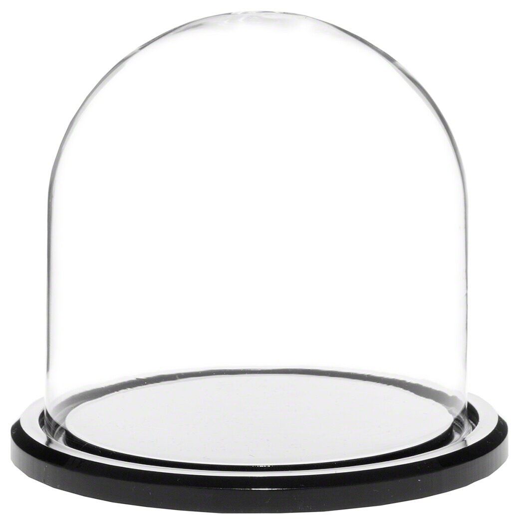 Plymor Mini Glass Display Dome Cloche (Black Acrylic Base)