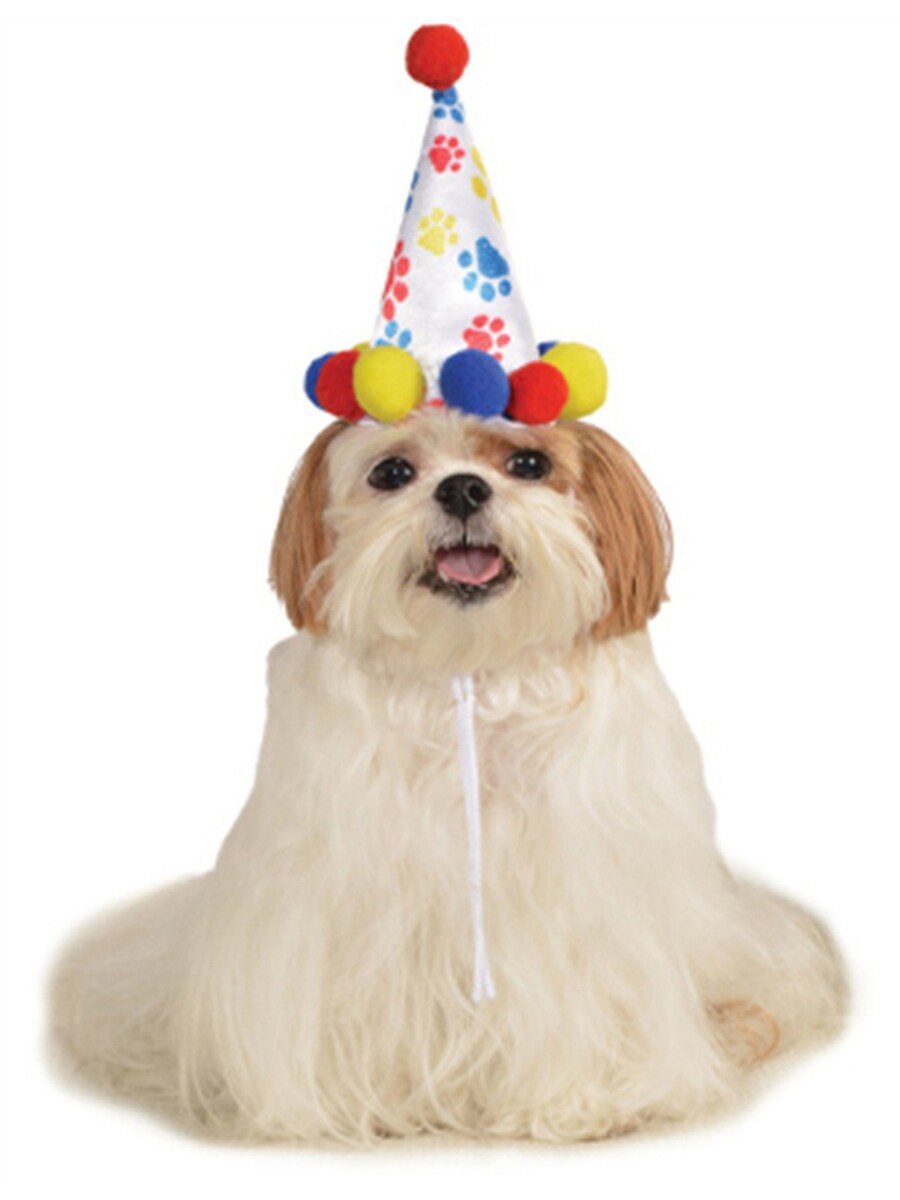 Red Blue Birthday Boy Paw Prints Clown Hat For Pet Dog