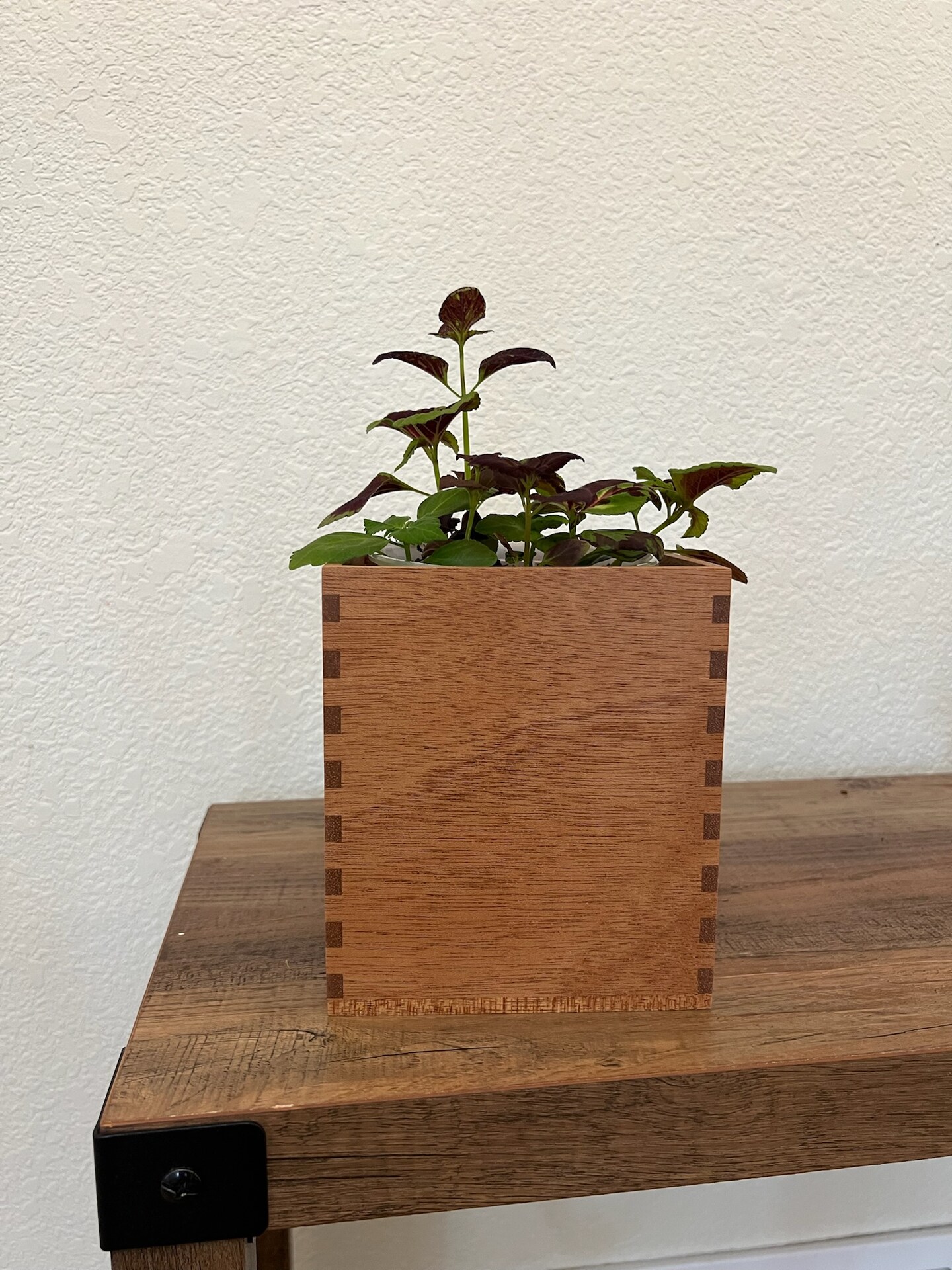 Handmade solid African mahogany hardwood for self-watering planters - indoor planter box - plant container - wooden box product 6