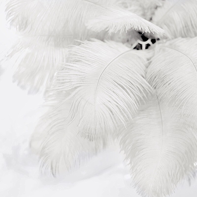 12 pcs 13&#x22;-15&#x22; long Genuine Ostrich Feathers