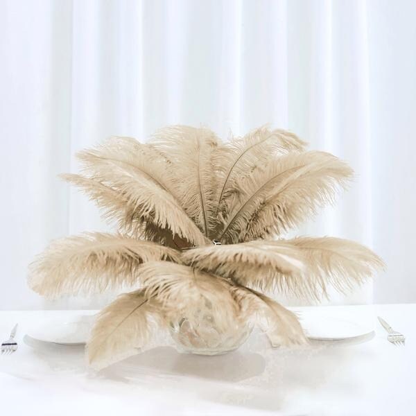 12 pcs 13"-15" long Genuine Ostrich Feathers