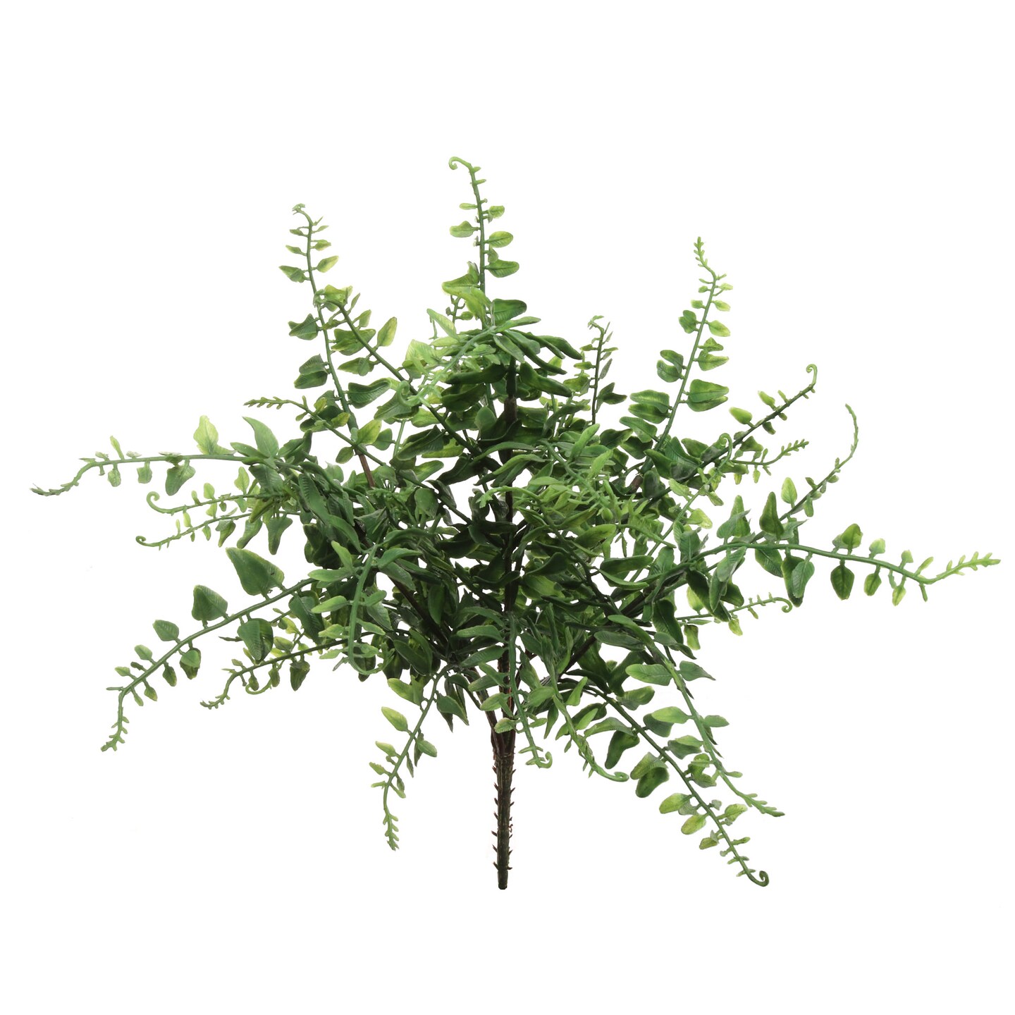 48-Pack: 15&#x22; UV Realistic Buckler Fern Bush with 38 Tips by Floral Home&#xAE;