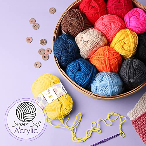 Allnice Crochet Kit for Beginners Adults, 49 PCS Beginners Crochet Knitting  Kit Crochet Hooks Set with Storage Case, 5 Colors Crochet Yarn Balls