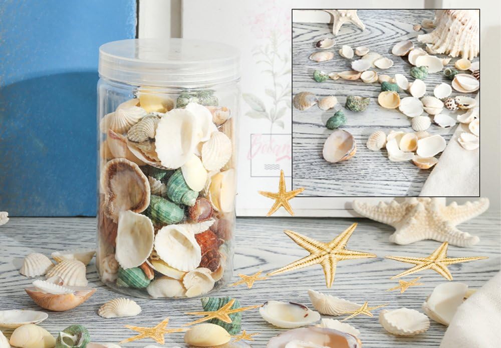 Beach Theme Party Wedding Decorations with Mixed Sea Shells and Starfish Do It Yourself Projects Making Candles for Fish Tank Vase Fillers Materials for Home D&#xE9;cor more than 70 pieces